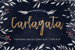 Carlagata Font: Adding Warmth to Editorial Layouts