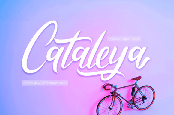 Cataleya Font: Elevating Editorial Design