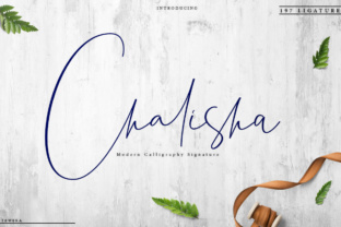 Chalisha Font: Elevating Campaign Visuals with Elegant Script