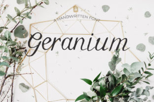 Geranium Font Review: Elegant Script for Brand Identity