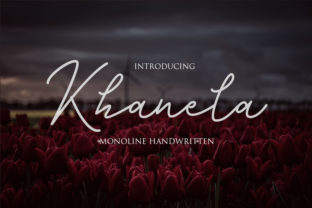 Khanela Font Review: Digital Layouts and UX