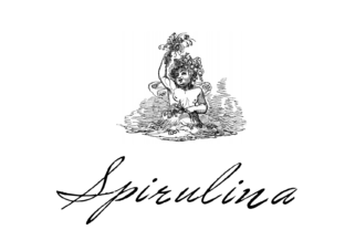 Spirulina Font: Vintage Script for Handmade Products