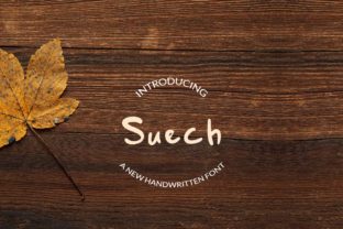 Suech Font: Modern Handwritten Typography for Web Design